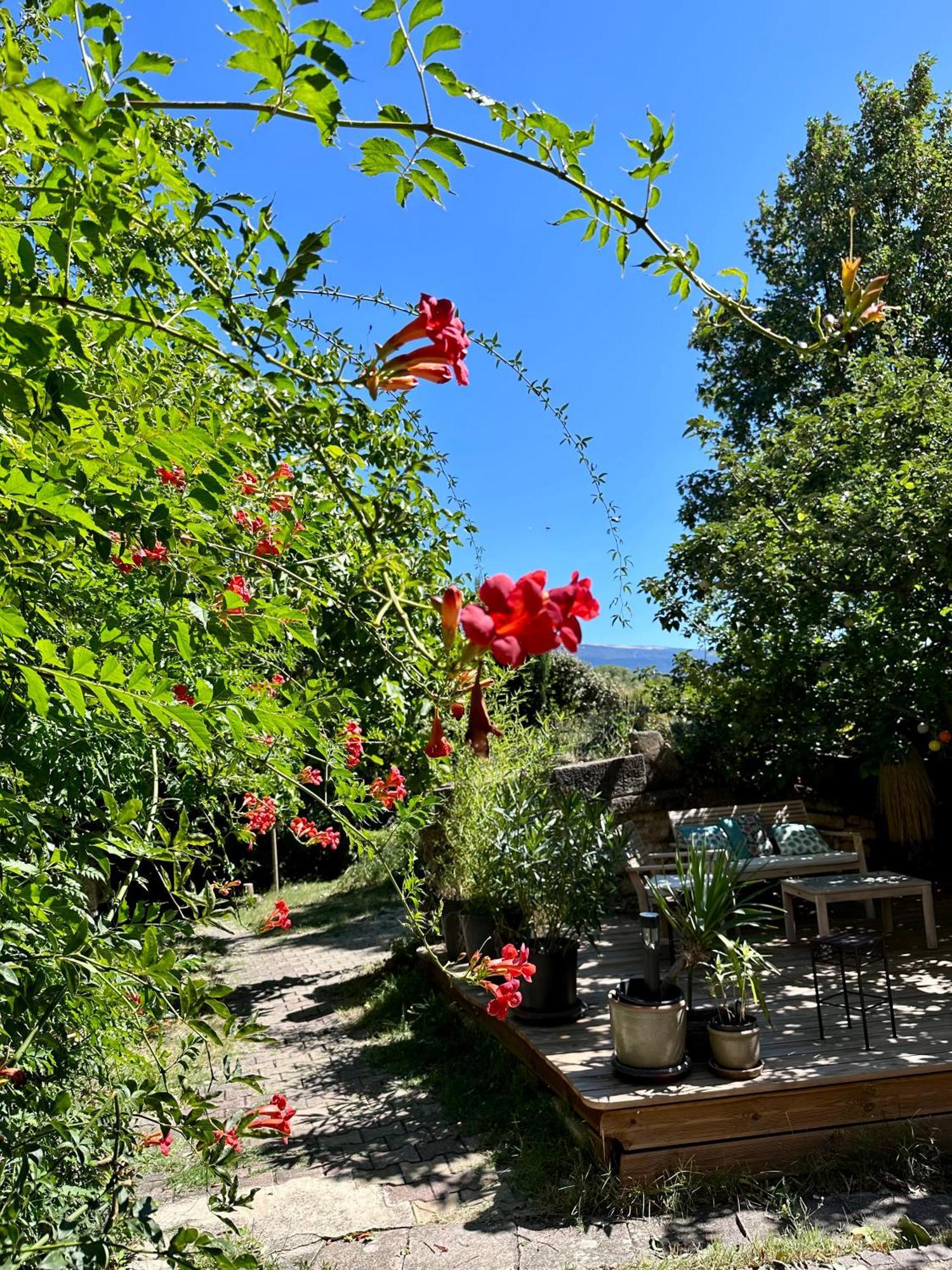 Moulin d'Antelon B&B Crillon-le-Brave Buitenkant foto